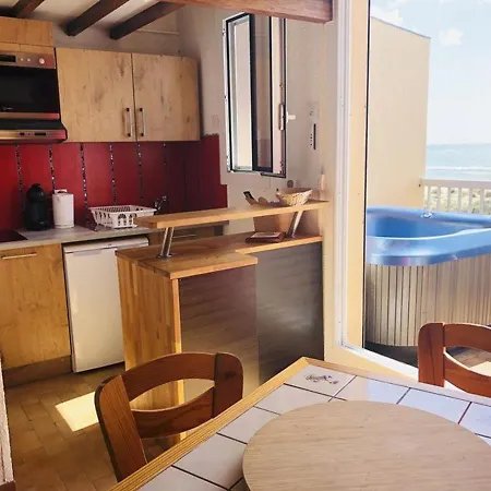 Renove Avec Jacuzzi, Terrasse Et Parking Prive A Marseillan-plage - Fr-1-326-460 Apartment